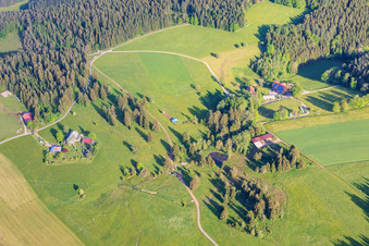 Black Forest farms on Simonshansenhofweg in the district Kirnbach in Wolfach in the state Baden-Wuerttemberg, Germany