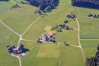 Relocated farms in Oehle in the district Tennenbronn in Schramberg in the state Baden-Wuerttemberg, Germany