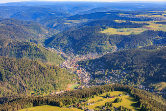 City view from the south in Schramberg in the state Baden-Wuerttemberg, Germany