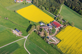 Relocated farmstead in the Stampfe district in Dunningen in the state Baden-Wuerttemberg, Germany