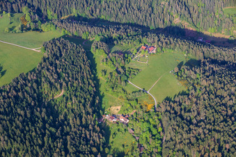 Black Forest farms in the district Kienbächle in Schiltach in the state Baden-Wuerttemberg, Germany