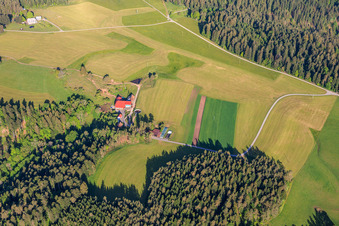 Black Forest farms in the district Unter-Reichenbach in Hornberg in the state Baden-Wuerttemberg, Germany