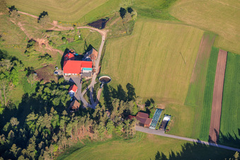 Hornberg/Fohrenbühl