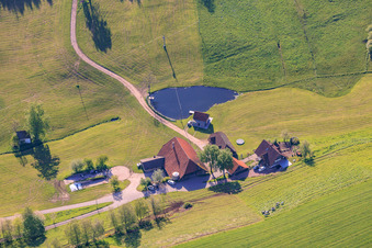 Holiday apartment Sägebauernhof in the district Reichenbach in Hornberg in the state Baden-Wuerttemberg, Germany