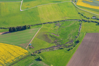 Moor between Eberbach and Eschach in Dunningen in the state Baden-Wuerttemberg, Germany