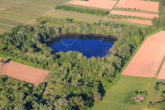 Biotope pond, old clay pit in Göcklingen in the state Rhineland-Palatinate, Germany