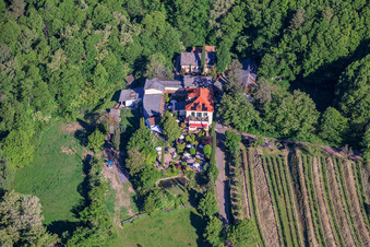 Sankt Annaberg winery with garden on the edge of the forest in Burrweiler in the state Rhineland-Palatinate, Germany