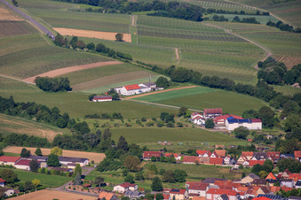 Billigheim-Ingenheim