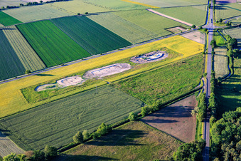 New creation of biotope compensation areas for the relocation of the lapwing as a result of the wind farm on Maxstrasse in Hatzenbühl in the state Rhineland-Palatinate, Germany