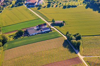 Kehler Hof in the district Ingenheim in Billigheim-Ingenheim in the state Rhineland-Palatinate, Germany