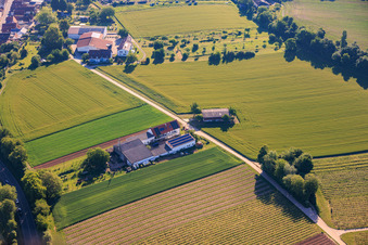 Kehler Hof in the district Ingenheim in Billigheim-Ingenheim in the state Rhineland-Palatinate, Germany