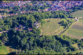 Kropsburg Castle in the district SaintMartin in Sankt Martin in the state Rhineland-Palatinate, Germany