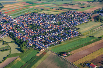 From the southwest in the district Mechtersheim in Römerberg in the state Rhineland-Palatinate, Germany