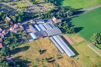 Plant World Service - Garden Center in the district Iggelheim in Böhl-Iggelheim in the state Rhineland-Palatinate, Germany