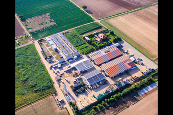 Farmyard, residential containers and vegetable growing halls - Dieter Stubenbordt in Zeiskam in the state Rhineland-Palatinate, Germany