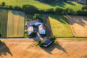 Kehler Hof farmstead in the district Ingenheim in Billigheim-Ingenheim in the state Rhineland-Palatinate, Germany
