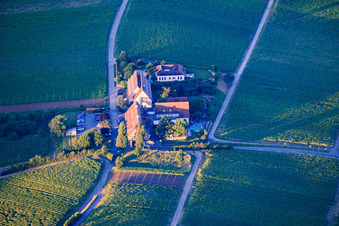 Last ray of sunshine on the Leinsweiler courtyard in Leinsweiler in the state Rhineland-Palatinate, Germany