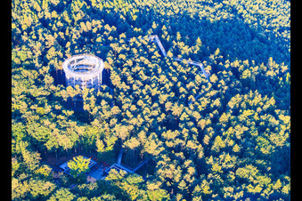 Treetop Walk Alsace / Chemin des Cimes Alsace in Cleebourg in the state Bas-Rhin, France