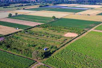 Plantation with work area for wind turbine construction in the district Mühlhofen in Billigheim-Ingenheim in the state Rhineland-Palatinate, Germany