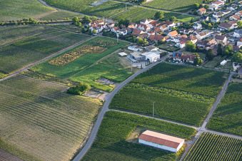 Wine shop Weingut Familie Sauer in the district Nußdorf in Landau in der Pfalz in the state Rhineland-Palatinate, Germany