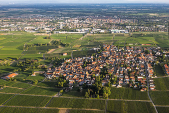 Winegrowing village from the north in the district Nußdorf in Landau in der Pfalz in the state Rhineland-Palatinate, Germany