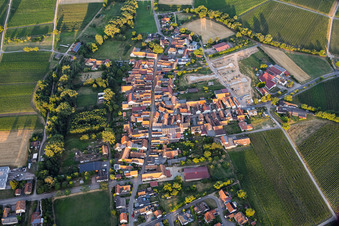 Village view from the west in the evening with new housing development at the Lindenhof winery in the district Klingen in Heuchelheim-Klingen in the state Rhineland-Palatinate, Germany