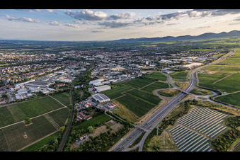 Landau-Nord beyond the B10 from the northeast in the evening in Landau in der Pfalz in the state Rhineland-Palatinate, Germany