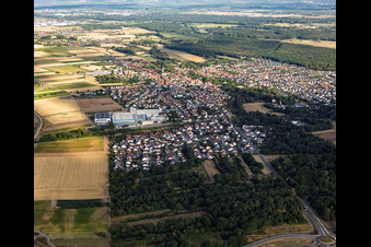 Bellheim