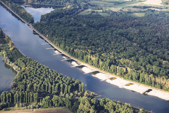 Sandbanks and groynes at low water on the Rhine between Hördter Rheinaue and Dettenheim in Hördt in the state Rhineland-Palatinate, Germany