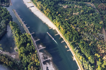 Empty cargo ship at low water on the Rhine between Hördter Rheinaue and Dettenheim in Hördt in the state Rhineland-Palatinate, Germany