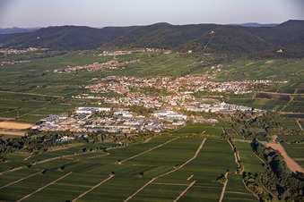 Edenkoben