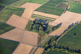 Essingen
