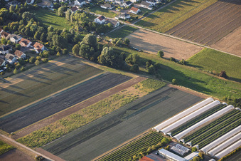 Offenbach an der Queich