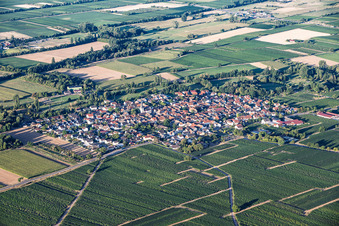Venningen