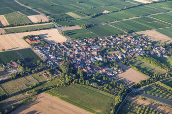 Großfischlingen