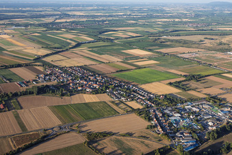 Landau/Mörlheim