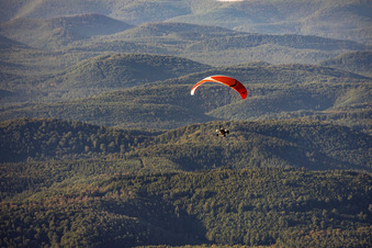 Paraglider over the Palatinate Forest in the district Glashütte in Lemberg in the state Rhineland-Palatinate, Germany