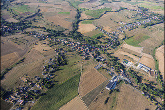 Bettviller