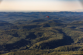 Paraglider over the Palatinate Forest in the district Glashütte in Lemberg in the state Rhineland-Palatinate, Germany