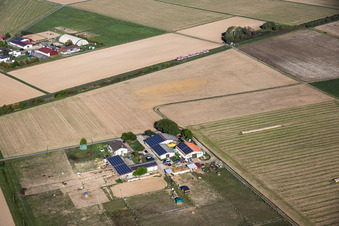 Seltzer Farm (relocated farmstead) – Agriculture and KSP Kartcenter Mach 1 in the district Langstadt in Babenhausen in the state Hesse, Germany