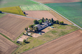 Groß-Umstadt/Richen