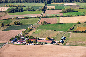 Römerhof horse stud farm in the district Richen in Groß-Umstadt in the state Hesse, Germany