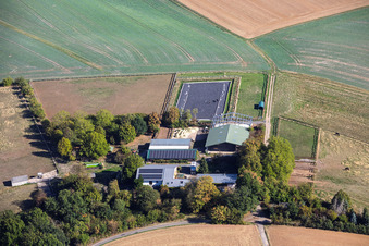 Heil Horse Farms in the district Klein-Umstadt in Groß-Umstadt in the state Hesse, Germany