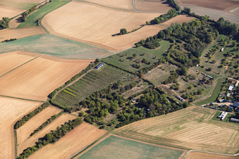 Tree Nursery at the Old Waterworks Mosbach in the district Mosbach in Schaafheim in the state Hesse, Germany