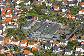 Greenhouses (Blumen Berchtenbreiter) in Großostheim in the state Bavaria, Germany