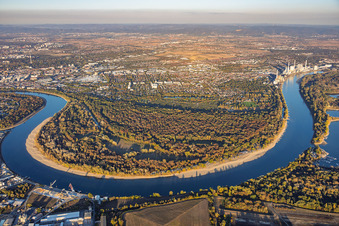 Low water levels on the Rhine around the Reißinsel / Kuckucksinsel nature reserve in the district Niederfeld in Mannheim in the state Baden-Wuerttemberg, Germany