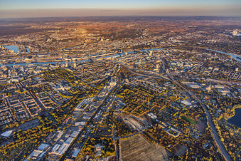 City overview from the west, spanning from Hohenzollernstraße and the A650 to the Rhine in the district Hemshof in Ludwigshafen in the state Rhineland-Palatinate, Germany