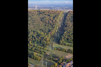 Forest clearing for a high-voltage power line along the pylon trail in Ettlingen in the state Baden-Wuerttemberg, Germany