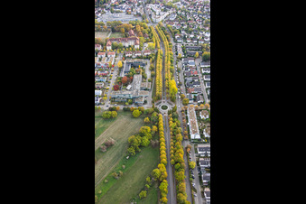 Autumnal avenue along Karlsruher Straße in Ettlingen in the state Baden-Wuerttemberg, Germany