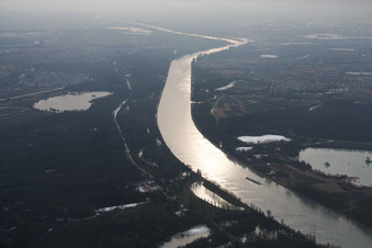 Curved loop of the riparian zones on the course of the river Rhine in the district Knielingen in Karlsruhe in the state Baden-Wurttemberg